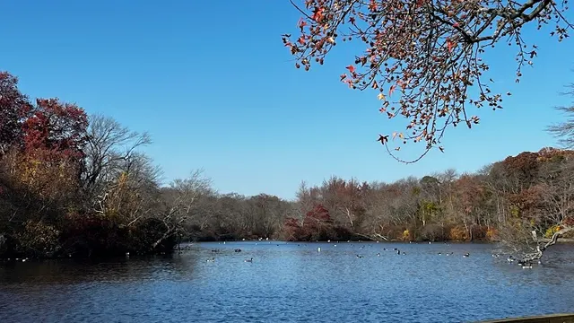 Belmont Lake State Park